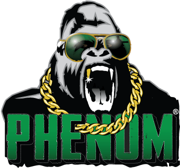 logo - phenom